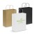 Printed Paper Carry Bags custom branded-00