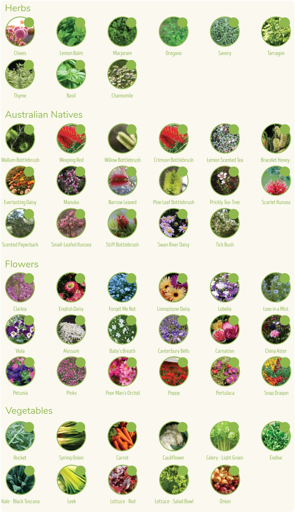 seedsticks plant types